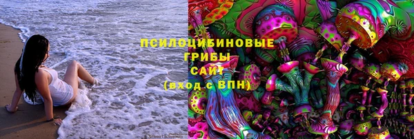 шишки Балабаново