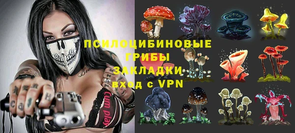 шишки Балабаново