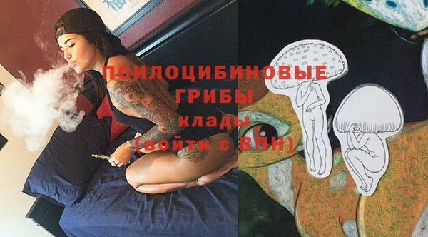 шишки Балабаново
